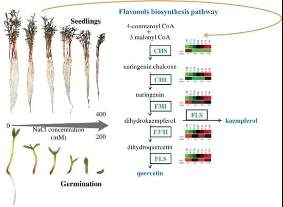 5f58751532271.jpg 微信图片_20200909120447.jpg